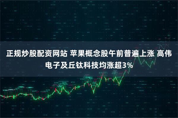 正规炒股配资网站 苹果概念股午前普遍上涨 高伟电子及丘钛科技均涨超3%